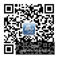 电竞女神战,队新加盟,版本升级实,DB体育,DB体育官网,DB体育app,DB体育直播